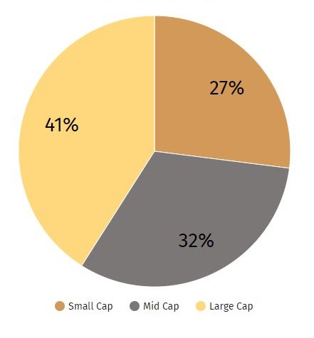 Pie chart showing Market Cap Distribution: Large Cap-36%, Mid Cap-35%,  Small Cap 29%