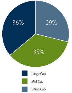 Pie chart showing Market Cap Distribution: Large Cap-36%, Mid Cap-35%,  Small Cap 29%